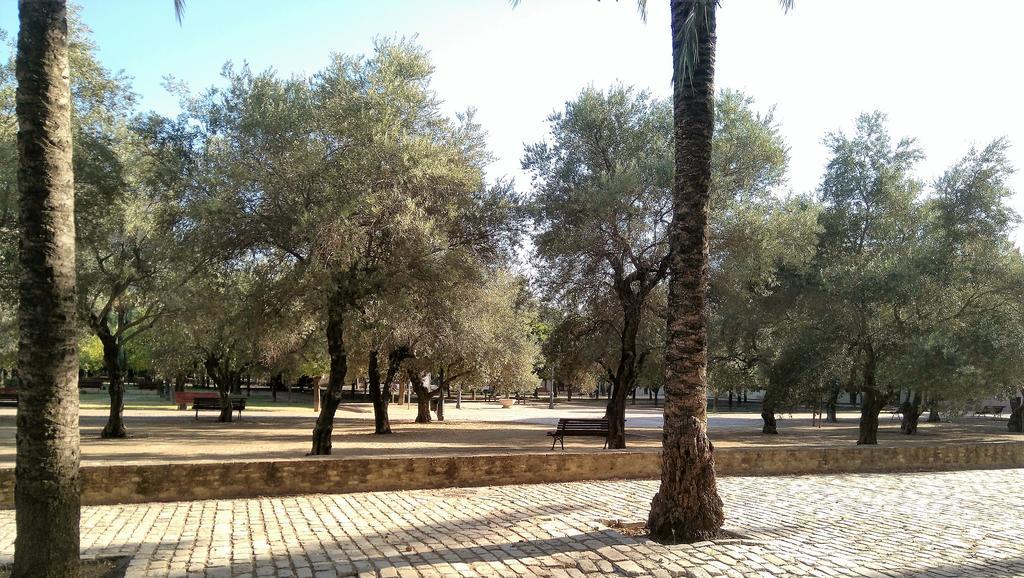 Apartamento Buhaira Seville Ngoại thất bức ảnh