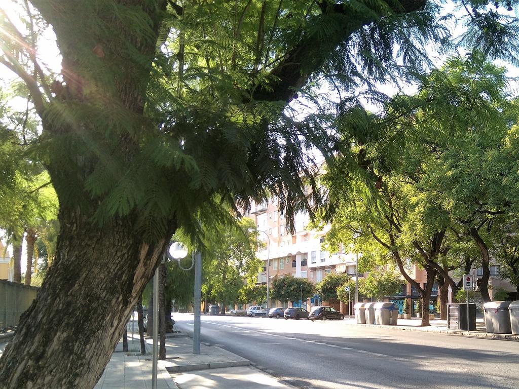 Apartamento Buhaira Seville Ngoại thất bức ảnh